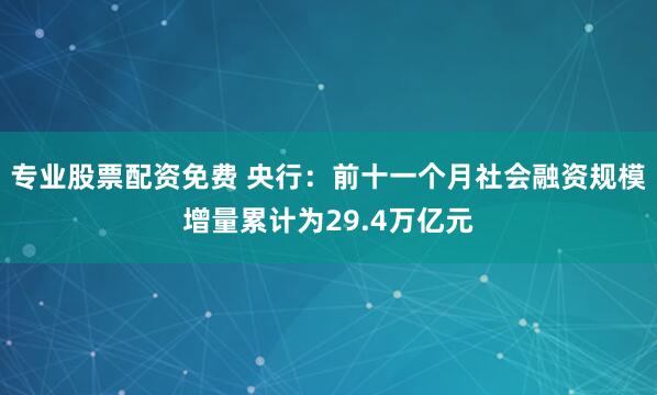 专业股票配资免费 央行：前十一个月社会融资规模增量累计为29.4万亿元