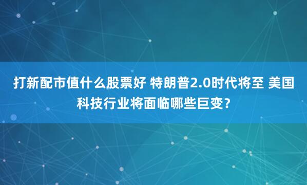 打新配市值什么股票好 特朗普2.0时代将至 美国科技行业将面临哪些巨变？