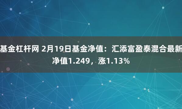 基金杠杆网 2月19日基金净值：汇添富盈泰混合最新净值1.249，涨1.13%